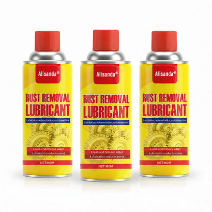 Anti-Rust Lubricant Spray & Rust Remover