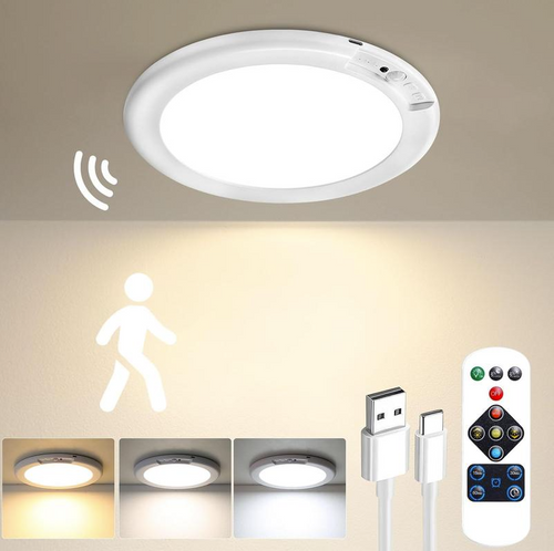 2026 Motion Sensor Ceiling Light 🏠💡