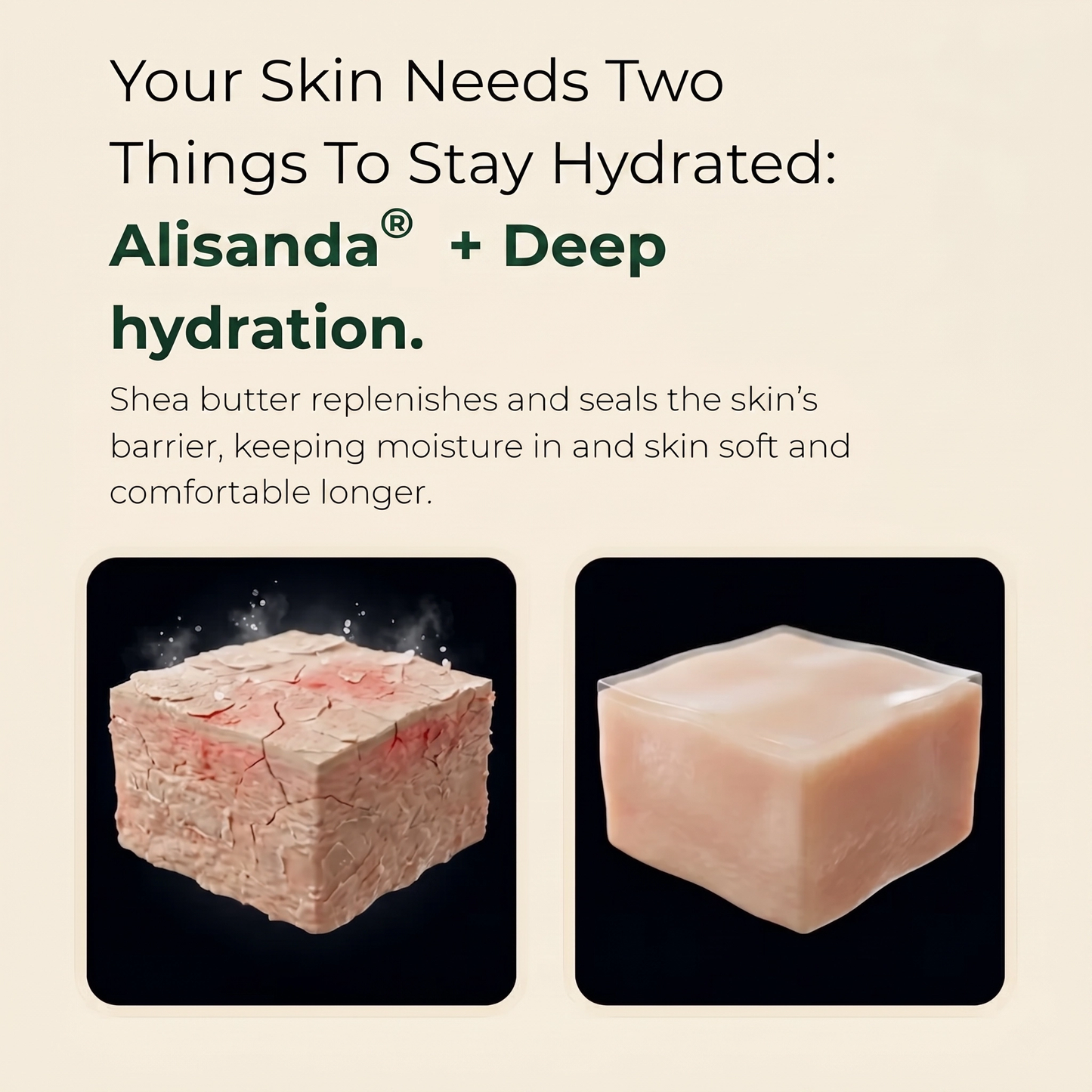 Pure Nilotica Shea Butter by Alisanda®