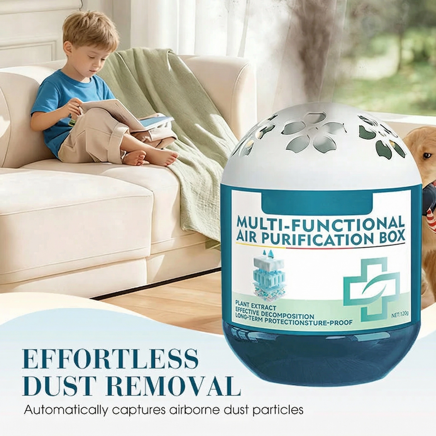 🔥2026 New Collection - Limited-Time Pre-Sale⏰Indoor Air Purification Dust Removal Magic Box🏠🌿-GD