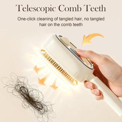 Electric Spray Air Cushion Massage Hair Comb – Anti-Tangle & Essential Oil Mist Brush