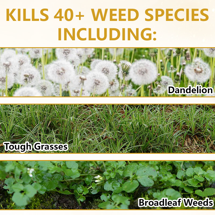 🏆 Official Store |Clinclii® Pro Strength 2-in-1 Herbicide: Fast Acting Results on Glyphosate-Resistant Weeds