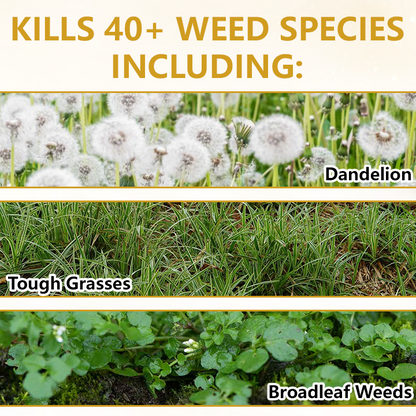 🏆 Official Store |Clinclii® Pro Strength 2-in-1 Herbicide: Fast Acting Results on Glyphosate-Resistant Weeds