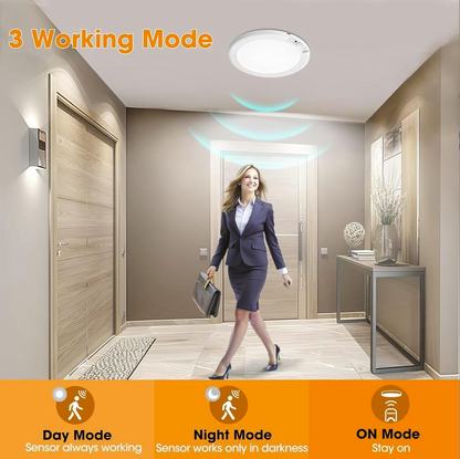 2026 Motion Sensor Ceiling Light 🏠💡