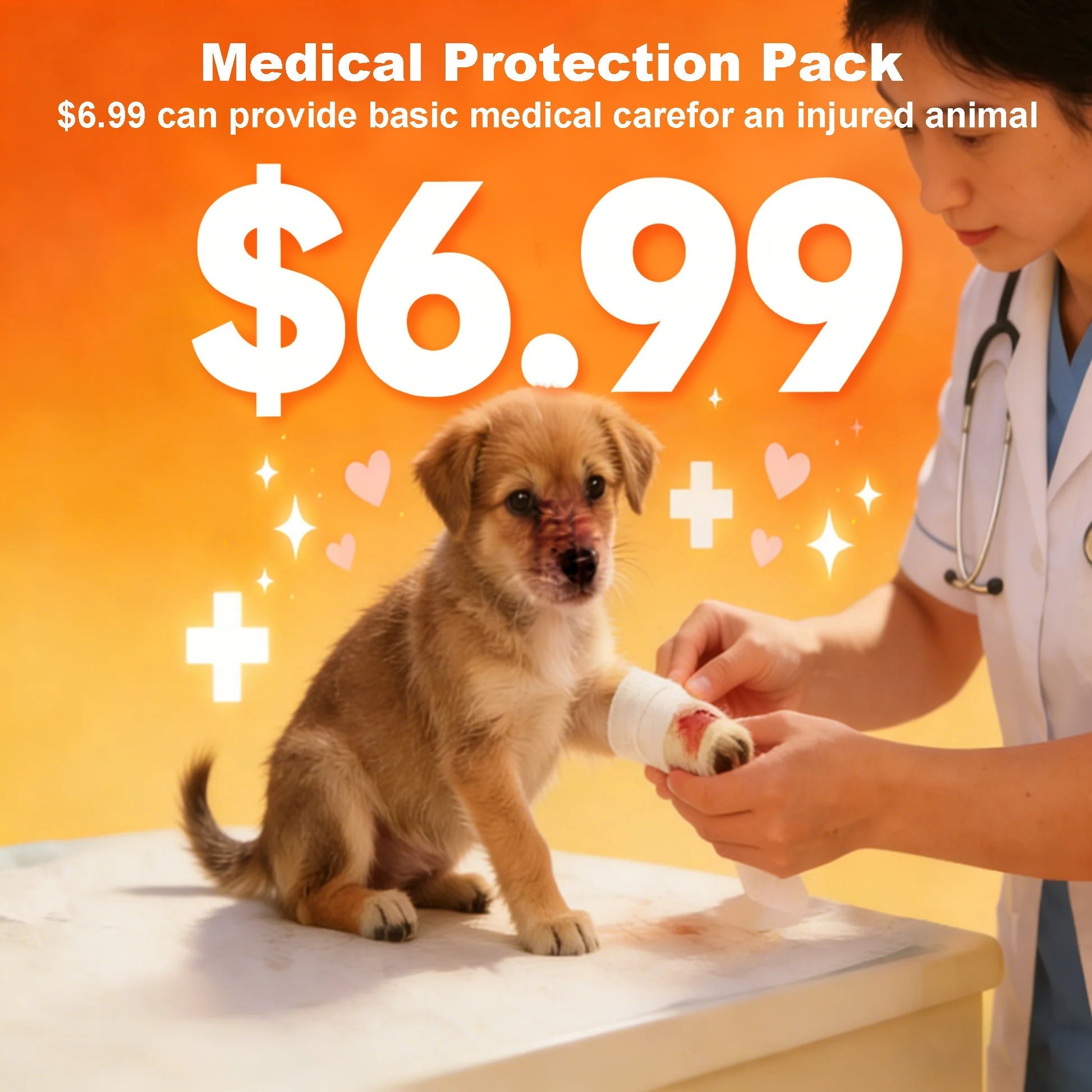Medical Protection Pack