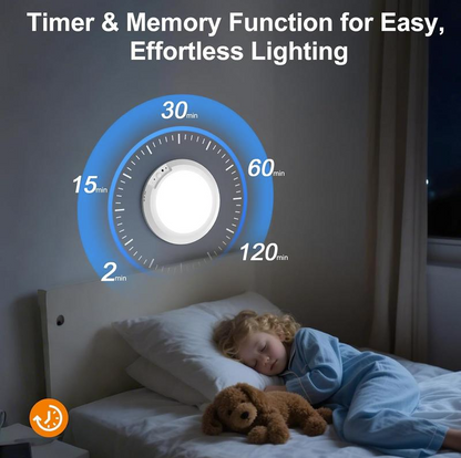 2026 Motion Sensor Ceiling Light 🏠💡