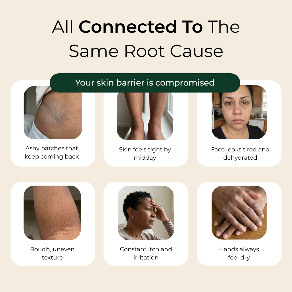 Pure Nilotica Shea Butter by Alisanda®