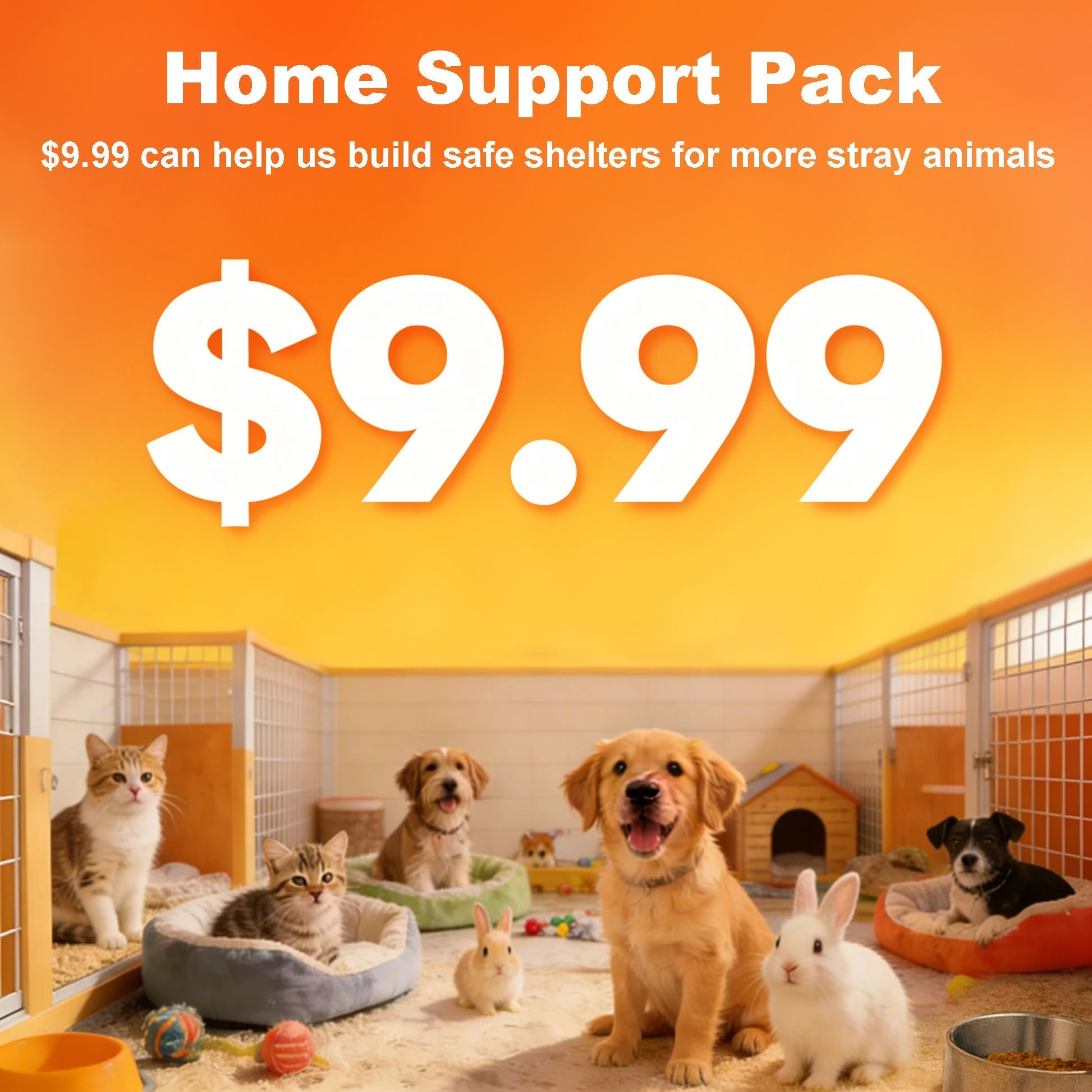Home Support Pack